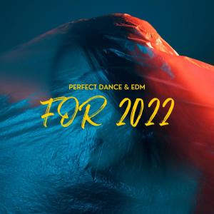 Perfect Dance & EDM For 2022 dari Various Artists