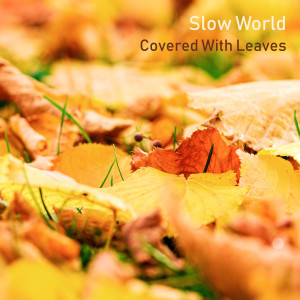 Slow World的专辑Covered With Leaves