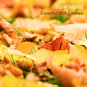 Covered With Leaves dari Slow World