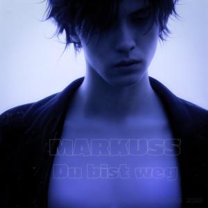 收聽Markuss的Du bist weg歌詞歌曲