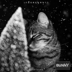 อัลบัม เกลียดฤดูหนาว ศิลปิน BUNNYKING