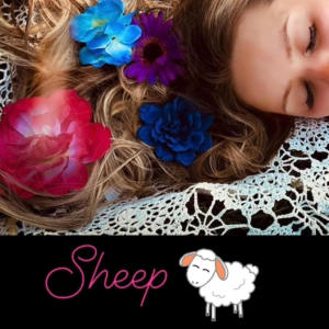 SHEEP的專輯Wake up