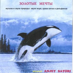 收聽Anjey Satori的Dolphin's heart歌詞歌曲
