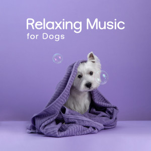 Album Relaxing Music for Dogs (Pets Sleep, Have a Good Rest, להרגיע כלב) from Pet Music Academy