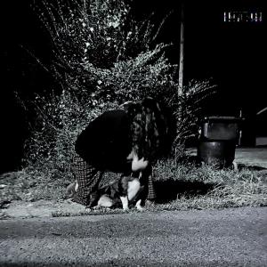 gabe.ext的專輯veins (Explicit)
