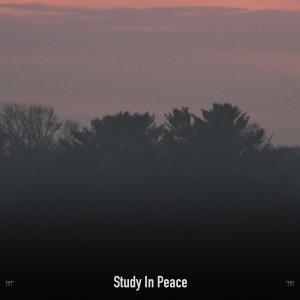 !!!!" Study In Peace "!!!!