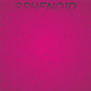 อัลบัม Sphenoid ศิลปิน Various Artists