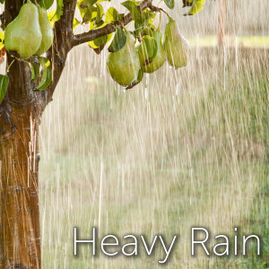 Listen to Heavy Rain song with lyrics from Tmsoft's White Noise Sleep Sounds