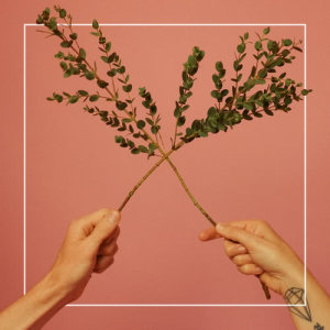 Listen to Shining song with lyrics from F.A.M Tae & Goddess