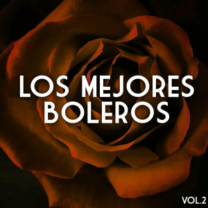 Album Los Mejores Boleros, Vol. 2 from 