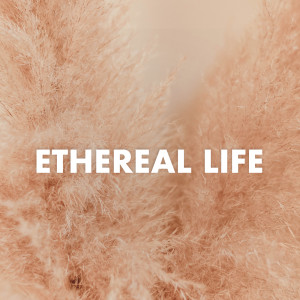 Various的專輯Etheral Life (Explicit)