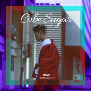 Listen to 각설탕 (Young Sky solo Version) (Cube Sugar (Young Sky solo Version)) song with lyrics from Oneway