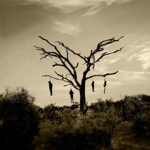 อัลบัม Hanged Man's Tree (Explicit) ศิลปิน Wily