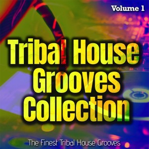 Dengarkan Creativity (Tribal Mix) lagu dari Roger Barton dengan lirik