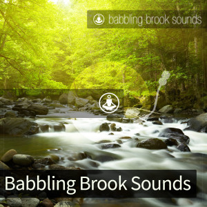 Album Babbling Brook Sounds from 