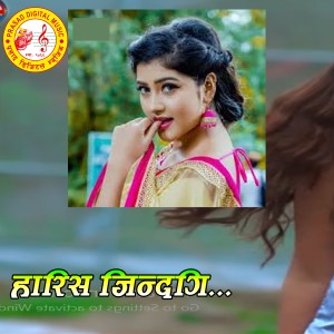 ดาวน์โหลดและฟังเพลง Haris Jindagi พร้อมเนื้อเพลงจาก Dhila B.K