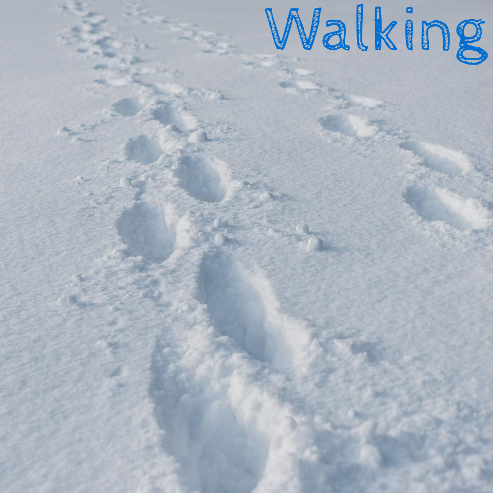 Walking