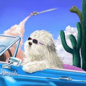 default playlist img