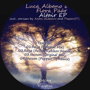 ดาวน์โหลดและฟังเพลง Raya (Original Mix) พร้อมเนื้อเพลงจาก Luca Albano