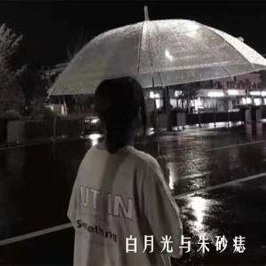 收聽艾柯代姆·居來提的白月光與硃砂痣歌詞歌曲