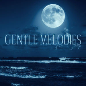 Listen to Lazy Mood song with lyrics from Stress Reducing Music Zone