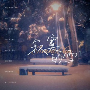 Album 寂寞的雪 from 