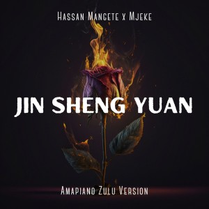 Listen to Jin Sheng Yuan (Amapiano Zulu Version) song with lyrics from Hassan Mangete
