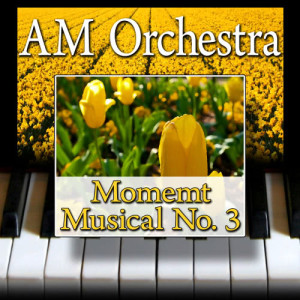 ดาวน์โหลดและฟังเพลง Moment Musical No. 3 พร้อมเนื้อเพลงจาก AM Orchestra