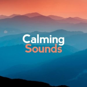 ดาวน์โหลดและฟังเพลง Sleep Through the Downpour พร้อมเนื้อเพลงจาก Calming Sounds