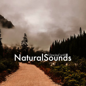 ดาวน์โหลดและฟังเพลง Start of the River พร้อมเนื้อเพลงจาก Sleep Songs with Nature Sounds
