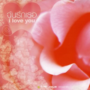 收聽พอล ภัทรพล的เพิ่งรู้ว่ารักเธอ (เพลงประกอบละคร นังเหมียวย้อมสี)歌詞歌曲