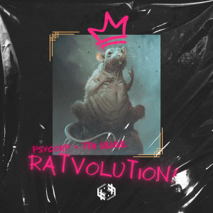 Sakava的专辑Ratvolution