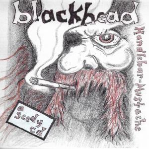 Album Handlebar Mustache: A Seedy Collection Of Leftover Crumbs (Explicit) from Blackhead