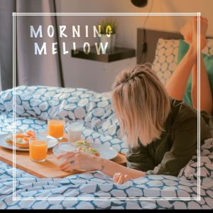 Album Morning Mellow from Various Artists
