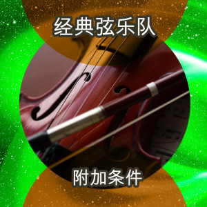 Album 附加条件 from The Classic String Orchestra