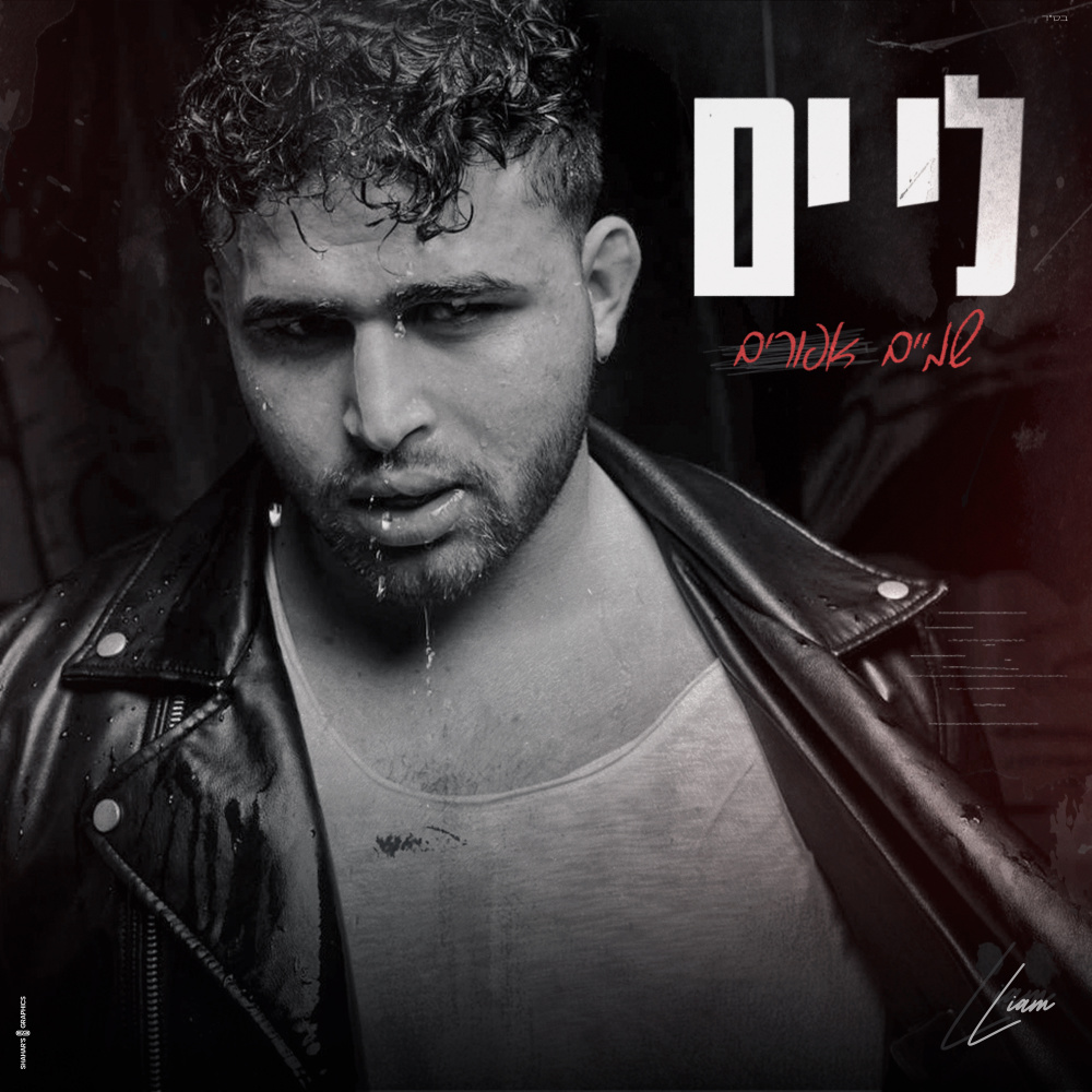 שמיים אפורים