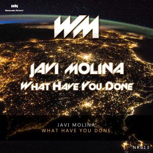 收聽Javi Molina的What Have You Done歌詞歌曲