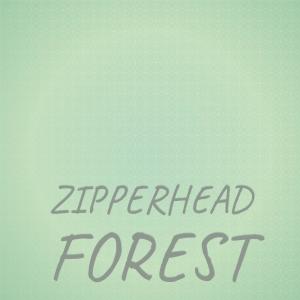 Listen to Zipperhead Forest song with lyrics from Masha Hason