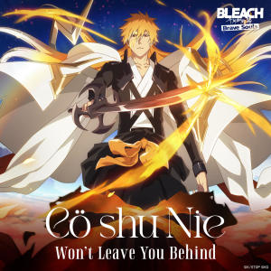 Cö shu Nie的專輯Won't Leave You Behind