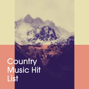 Album Country Music Hit List from The Country Music Heroes