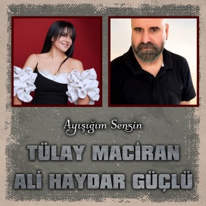 Album Ayışığım Sensin from 