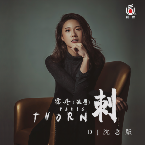 Album 刺 (DJ沈念版) from 霈丹(浪哥)