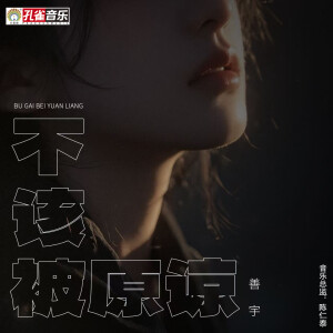 善宇的专辑不该被原谅