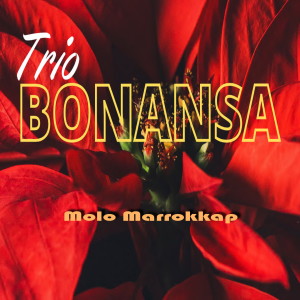 Dengarkan lagu Dang Marsapata nyanyian Trio Bonansa dengan lirik