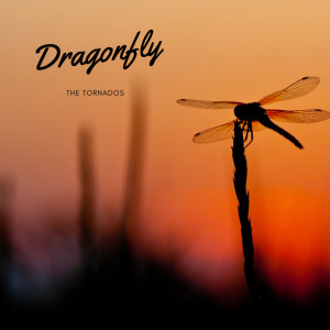 The Tornados的專輯Dragonfly