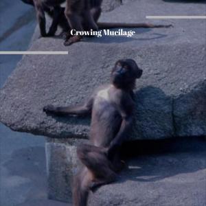 ดาวน์โหลดและฟังเพลง Crowing Mucilage พร้อมเนื้อเพลงจาก Maryne Batir