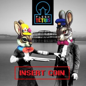 ดาวน์โหลดและฟังเพลง Partners in Crime (Explicit) พร้อมเนื้อเพลงจาก Flesh Tetris
