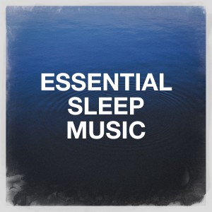 Ambient Music Therapy (Deep Sleep的專輯Essential Sleep Music