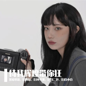 ดาวน์โหลดและฟังเพลง 遇到喜欢的人记得勇敢（DJ版） พร้อมเนื้อเพลงจาก 黑暗萝莉