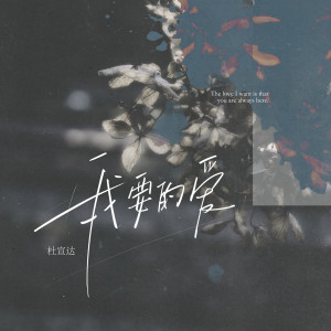 Album 我要的爱 from 杜宣达